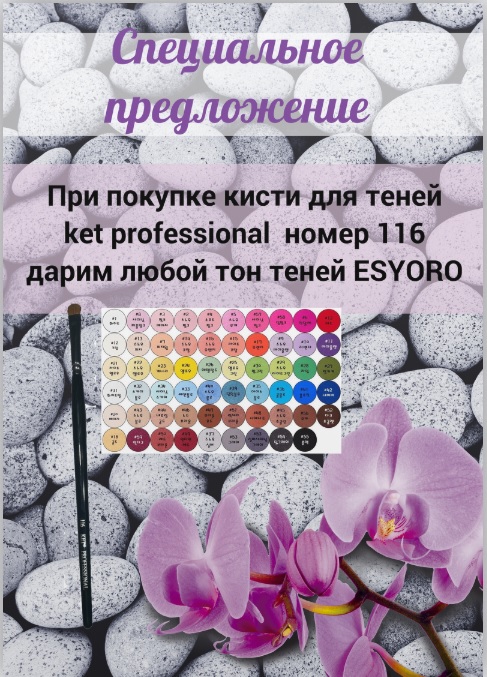 специальное предложение